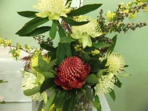 Blackheath Flower and Craft Show - Redcliffe Tourism