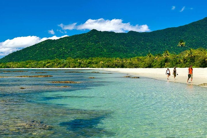 5-Day Best of Cairns with Daintree, Kuranda, and Great Barrier Reef